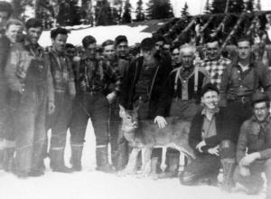  Group of Loggers of  in Front of a Camp