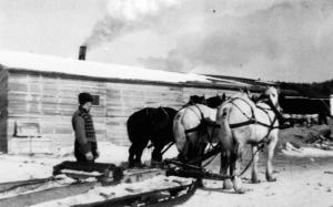 Man with Two Sleds and Four Horses at Murphy Mill