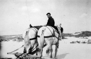 A Man with a Horse Team at the Murphy Mill in Green River