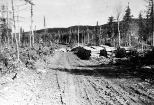 Cords of 4-Foot Logs