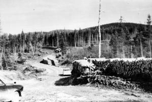 Corde de bois au camp 56