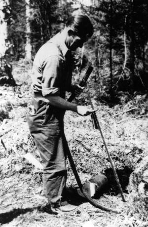 A Logger with his Bow Saw