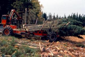 A Tree-Length Harvester Hauling Trees