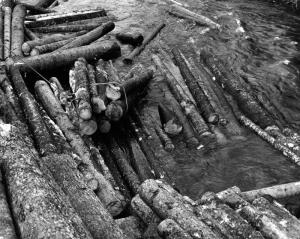 Pile de billots tire par un tracteur