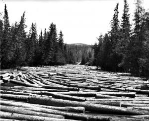 Pile Up of 16-Foot Logs on Little Tobique River