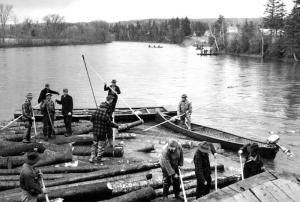 Drivers Releasing Logs at Bridge Abutment