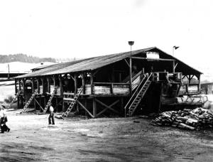 Truck Loading Shed