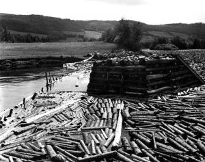 Des estacades retiennent le bois