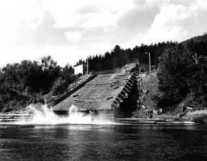 Unloading Pulpwood into the River