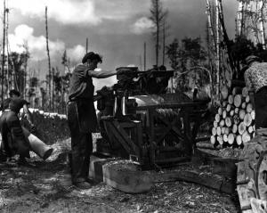 Cutting Wood with  a Mobile Barker