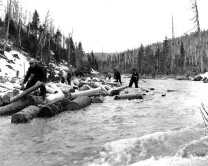 Logs Thrown into Belone Brook