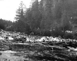 Logjam on a River