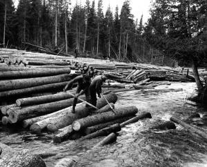 Drivers Releasing Logs