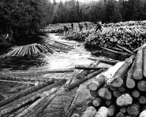 16-foot Logs Being Pushed in Little Tobique River