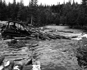 Bulldozer Pushing Logs in the River