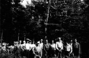 Loggers on a Private Woodlot in Saint Basile
