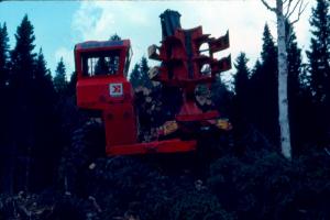 A Tree-Length Harvester  in a Forest