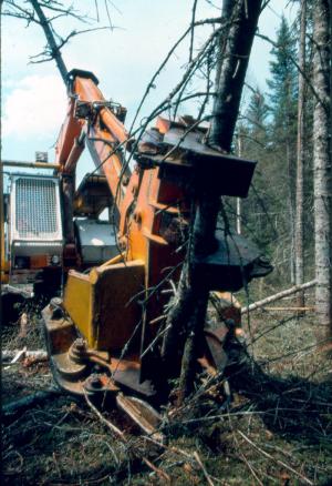 A Tree-Length Harvester Felling a Tree