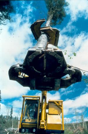 A Tree-Length Harbester at Work