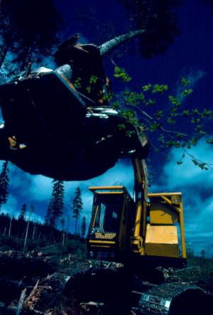 A Tree-Length Harvester  at Work