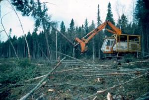 A Tree-Length Harvester at Work