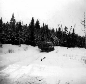 Sled Loaded with Logs at Poplar Brook