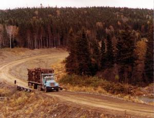 Chargement de billes de 4 pieds sur une route de la fort de  Rivire-Verte