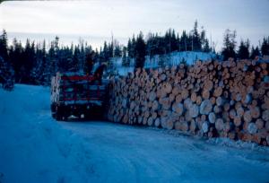 Deux bcherons chargent un camion au Bells Brook