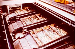 Screens in the Wood Room of the Edmundston Fraser Mill