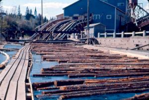 Two Workers Feeding Logs into the Haul-ups in Plaster Rock 