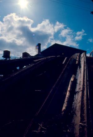 Haul-up at the (Plaster Rock ) Sawmill