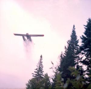 A Seaplane Spraying the Third Lake Forest