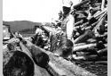 Workers Feeding Wood on the Conveyor