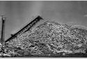 Wood Pile in the Edmundston Fraser Mill Yard