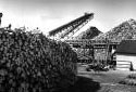 Piles et cordes de bois dans la cour de l'usine Fraser d'Edmundston