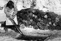 A Man Cutting Ice using a Two-Handed Crosscut Saw