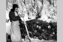 Salvaging Wood on the Madawaska River