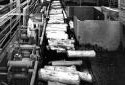 Worker Watching Barked Logs