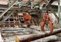 Hot Pond at the Plaster Rock Fraser Sawmill