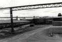 L'usine de sciage et l'entrepôt de triage à la scierie Fraser de Kedgwick