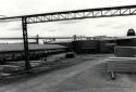 The Kedgwick Fraser Sawmill and Sorting Room