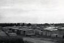 Lumber Yard at the Plaster Rock Sawmill