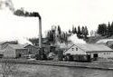The Plaster Rock Fraser Sawmill in 1950
