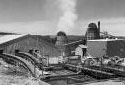 The Kedgwick Fraser Sawmill in 1970