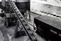 Loading Chips in Freight Cars at the Plaster Rock Fraser Sawmill