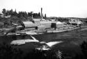 The Plaster Rock Fraser Sawmill in 1970