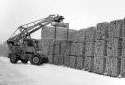 Chargeur Pettibone empilant des planches dans la cour  bois de la scierie de Plaster Rock