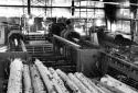 Debarker inside the Kedgwick Fraser Sawmill