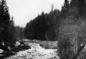 Stream Covered with Logs