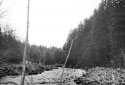 Drave sur un cours d'eau dans la fort de Rivire-Verte